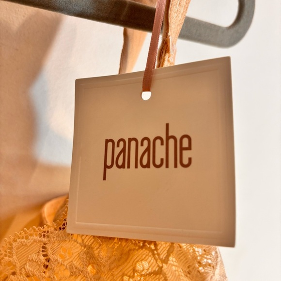 PANACHE Sz 36J Envy Lace Trim Bra in Chai NEW Underwire Adjustable Straps Back - Picture 6 of 10